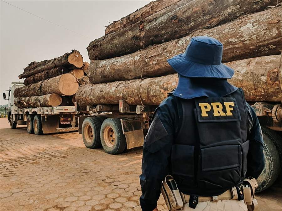 PRF apreende aproximadamente 130 m³ de madeira em 5 dias
