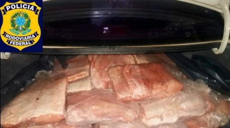 PRF apreende 193,5 kg de peixe transportado irregularmente na capital