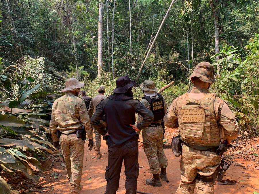 Operação da PF combate exploração de madeira na Terra Indígena