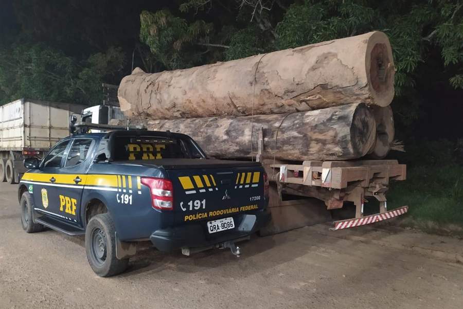 Polícia Rodoviária Federal identifica transporte irregular de madeira
