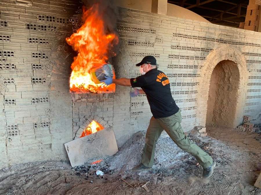PC incinera 800 quilos de drogas apreendidas em operação na capital 