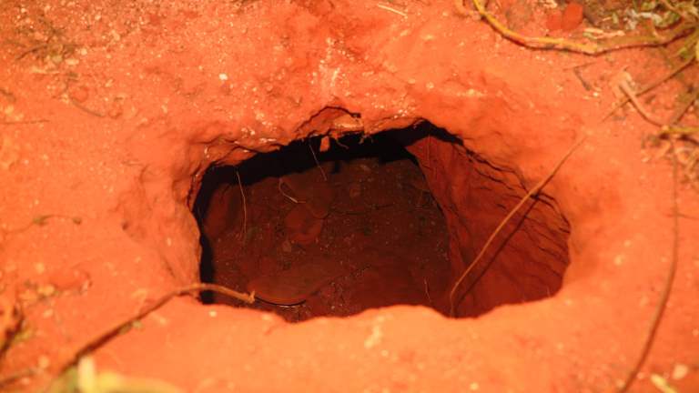 Descoberta de novo túnel no Pandinha evita fuga de mais 70 presos