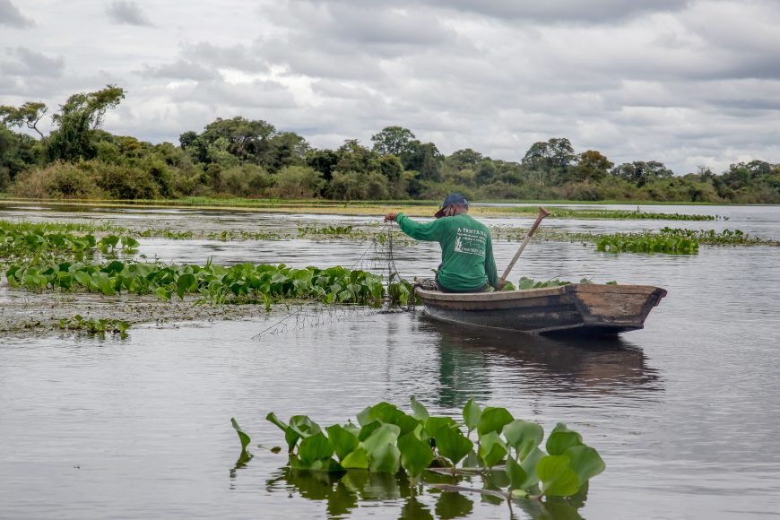Período do defeso de algumas espécies de peixes segue nos rios de Rondônia
