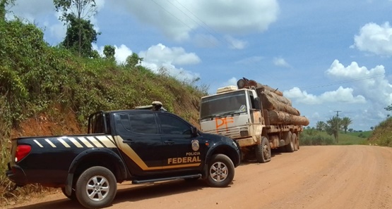Ação ﻿da Polícia Federal prende homem por transporte ilegal de madeira 