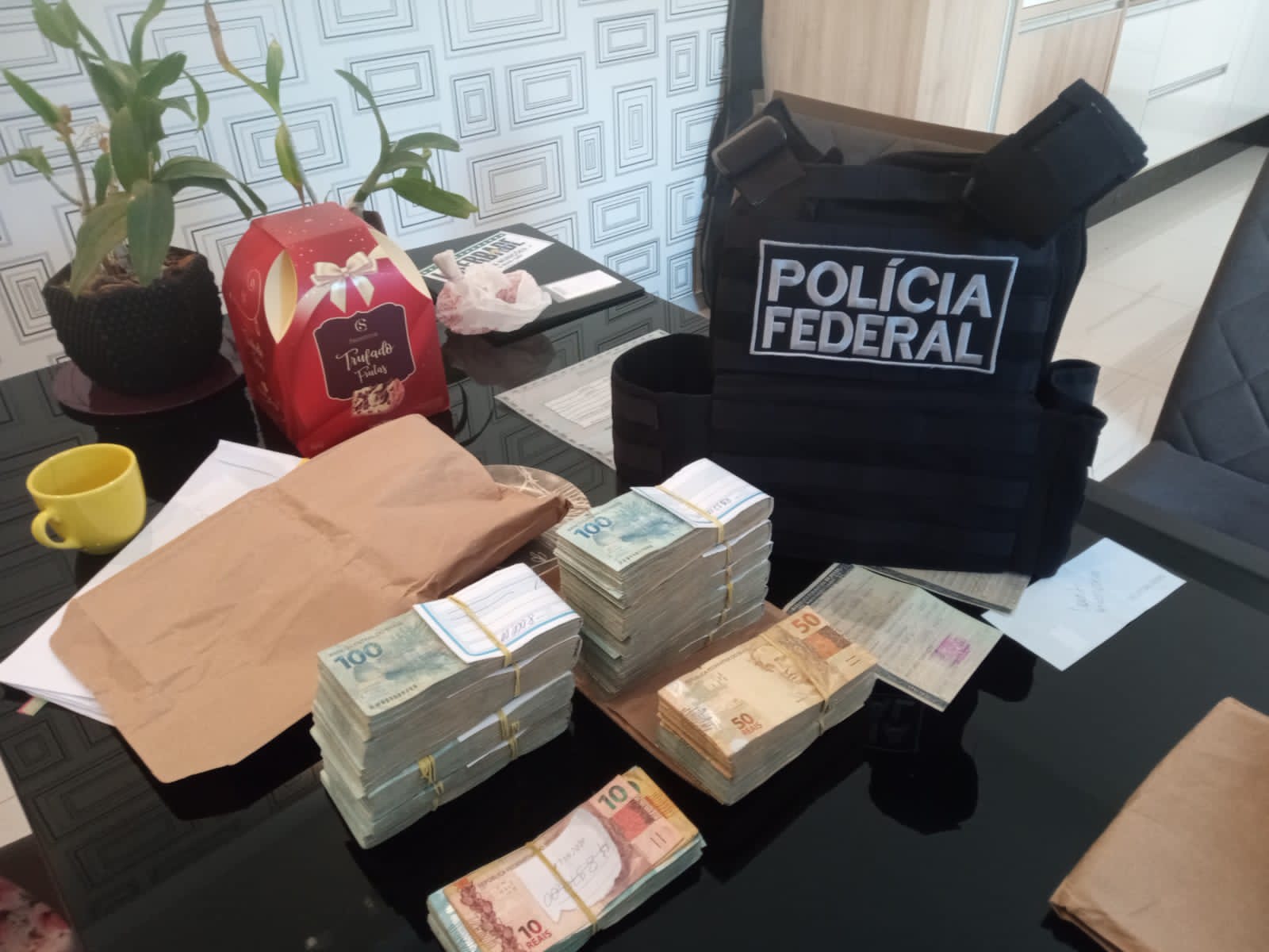 PF desarticula grupo criminoso responsável por desmatamento ilegal em Terra Indígena