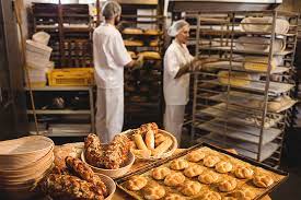 Sine de Porto Velho oferta 64 vagas de emprego nesta segunda-feira (19)
