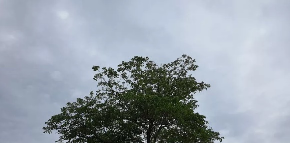 Natal em Porto Velho deve ter pancadas de chuva e trovoadas
