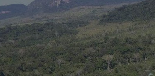 Rondônia registra aumento no desmatamento, apontam dados do Prodes
