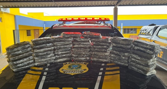 PRF apreende mais de 57 kg de cocaína avaliada em quase R$ 12 milhões
