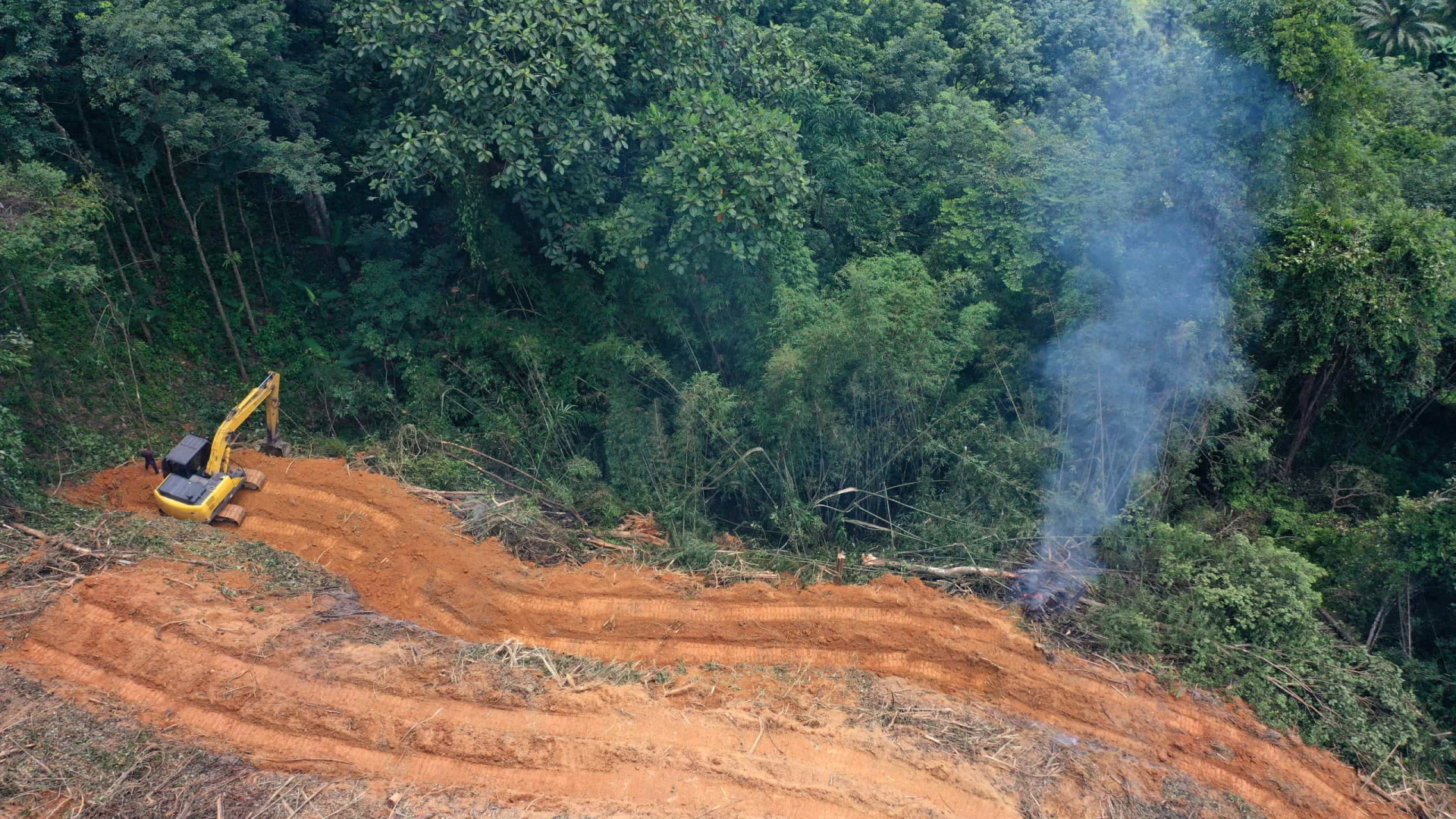 Em 2022, Amazônia teve maior desmatamento em 15 anos, diz Imazon
