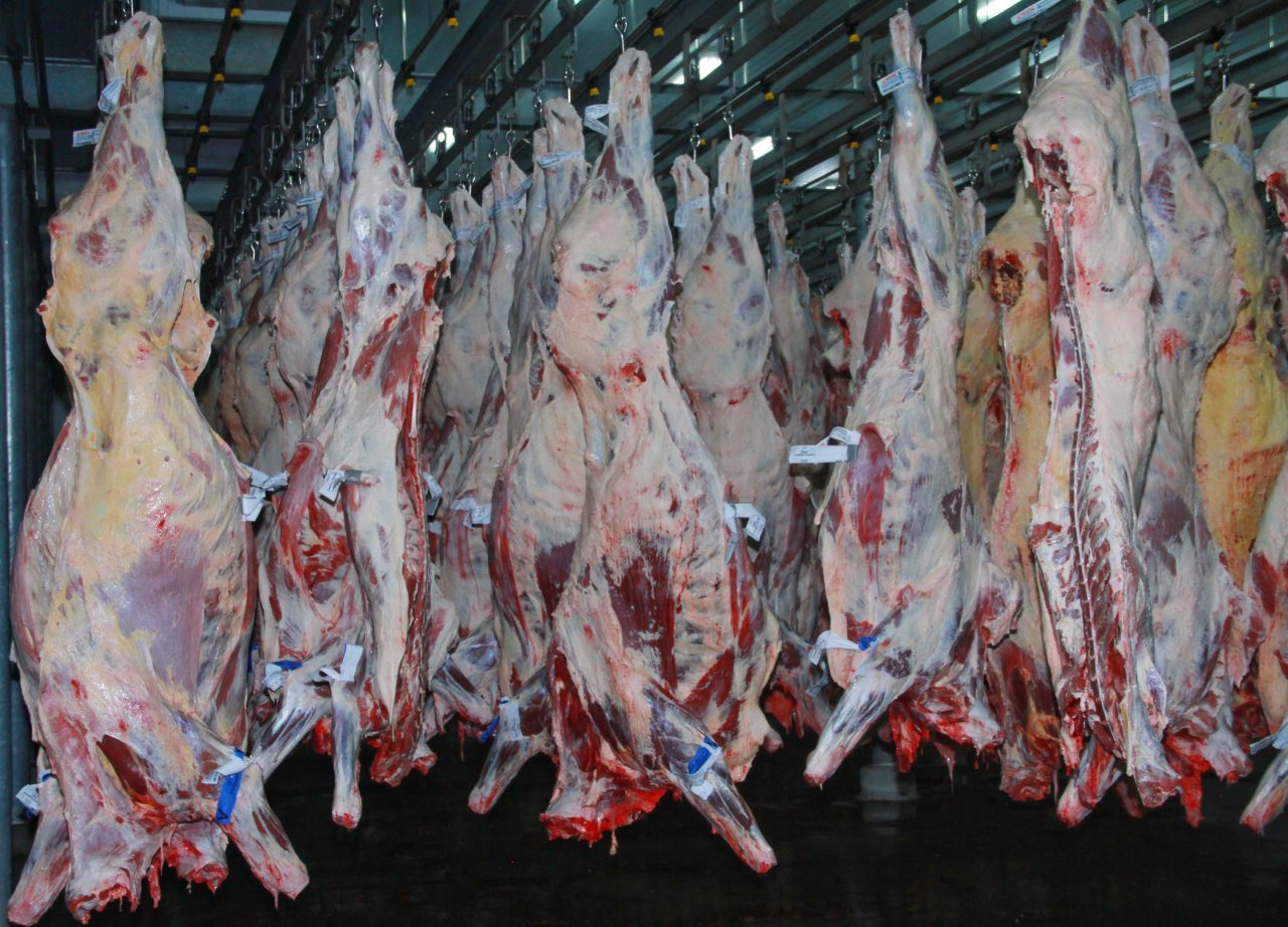 Balança comercial de RO terá impacto com aumento da exportação de carnes 