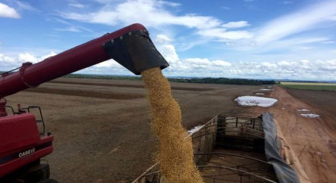Agronegócio no Brasil dá salto e hoje equivale ao PIB da Argentina em 2023
