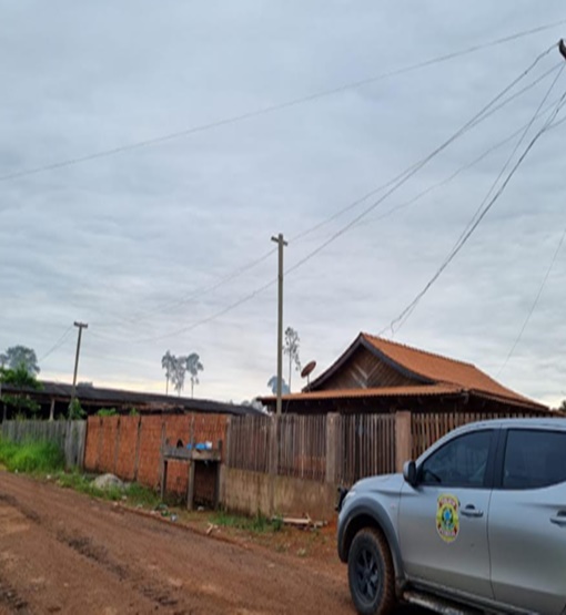 Operação da PF combate receptação, comercialização e transporte de produto florestal
