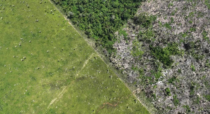 Área sob alerta de desmatamento na Amazônia em fevereiro é a maior já registrada, aponta Inpe
