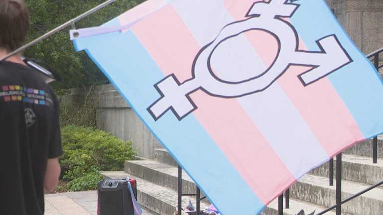 Desembargador determina processo seletivo exclusivo para trans em universidade
