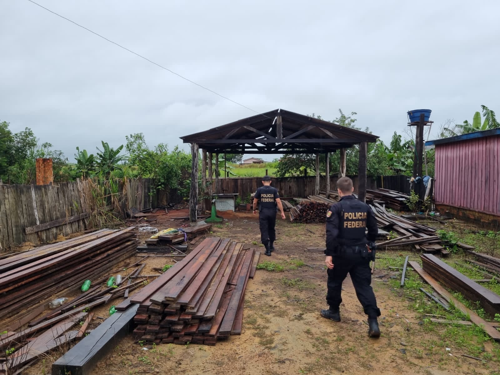 Polícia Federal faz operação contra esquema de fraudes a DOF em Rondônia 