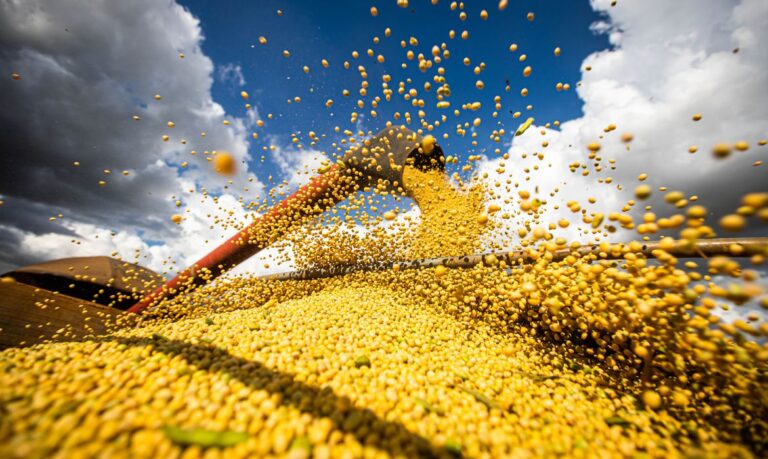 Mato Grosso supera Argentina e se torna terceiro maior produtor de soja do mundo
