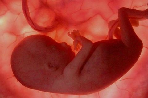 Superior Tribunal de Justiça decide que médico não pode denunciar aborto de paciente
