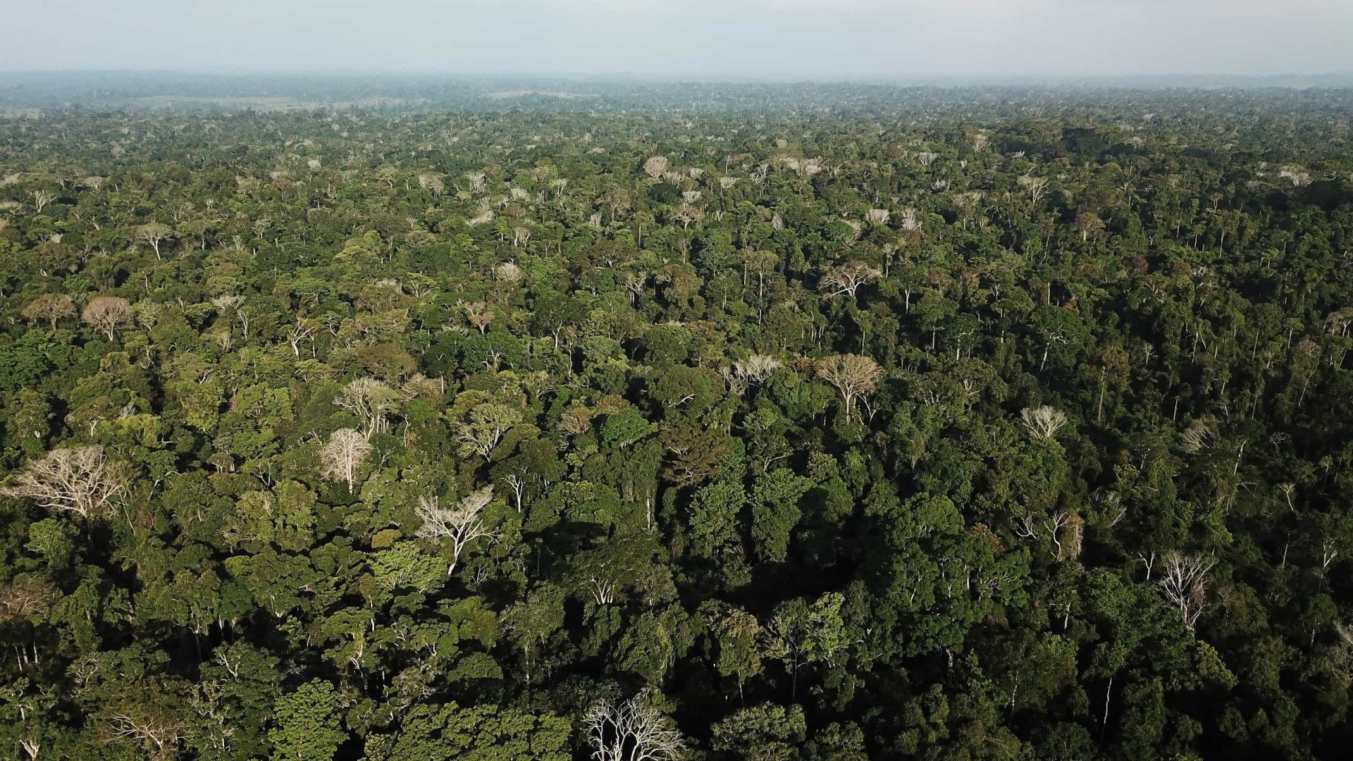 IBGE calcula que território do Brasil é 72,231 km² maior que o estimado anteriormente

