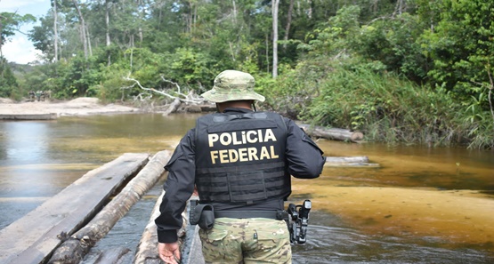 PF destrói ponte usada para retirada ilegal de madeiras em área de preservação