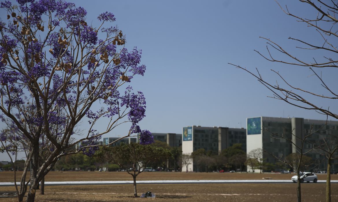 Participação feminina em cargos no governo federal mostra estagnação
