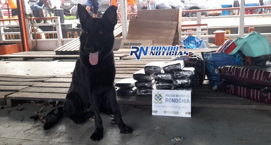 Polícia Militar prende 15 kg de maconha em embarcação ancorada no Cai N'água