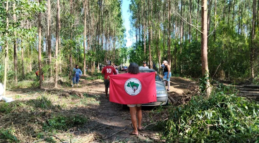 MST invade área gigantesca da Suzano em Aracruz, no interior do Espírito Santo
