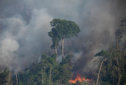 Desmatamento em Rondônia cresceu 450% em março de 2023, aponta Imazon
