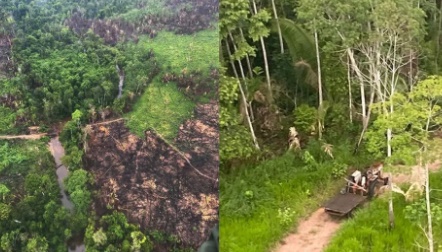 ALE debate ocupação em territórios de preservação ambiental em Rondônia
