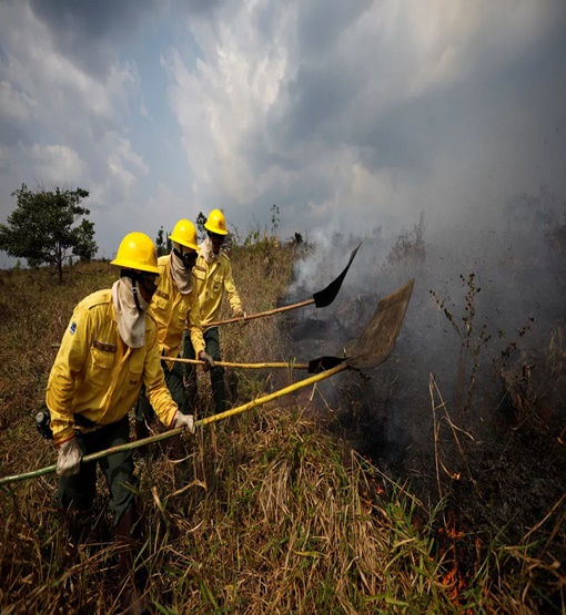 Ibama abre seleção com mais de 100 vagas para Rondônia; confira edital
