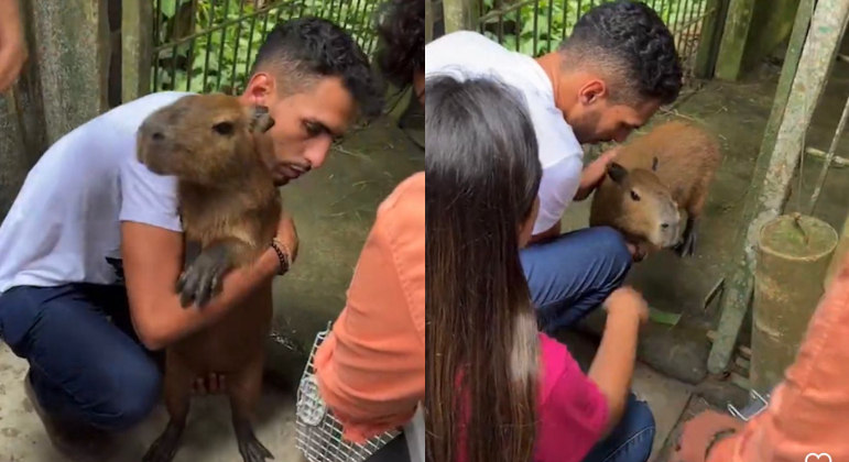 Capivara Filó é devolvida ao influenciador Agenor Tupinambá