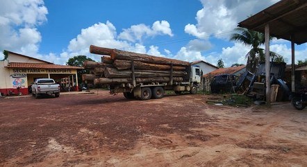 PF apreende caminhão com madeira ilegal e espingarda em retirada de não indígenas 
