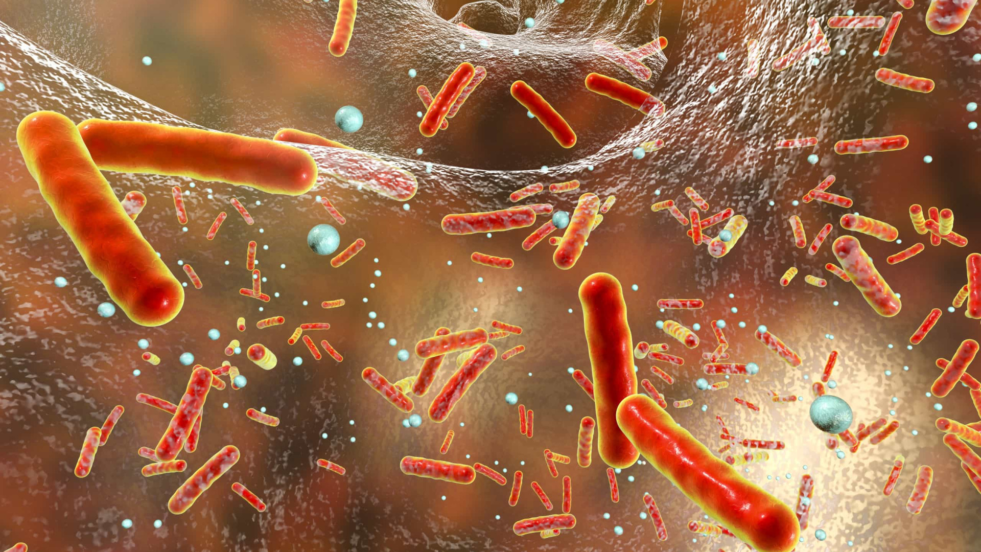 Novo antibiótico capaz de matar superbactérias é descoberto com ajuda de IA
