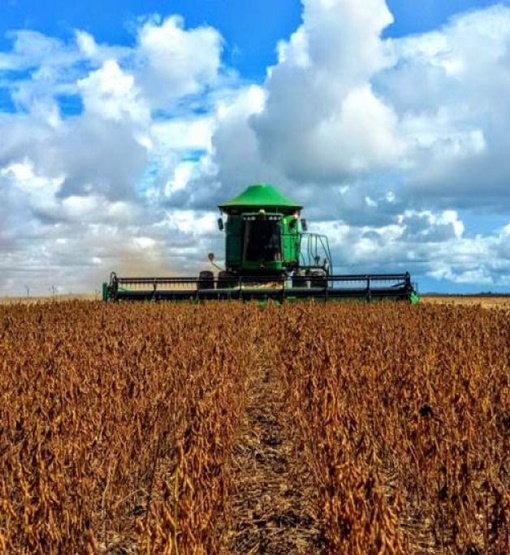 Produtividade do agronegócio avança em todo o Estado e surpreende com resultados