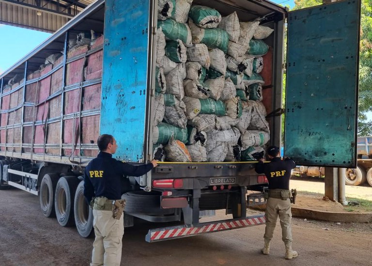 PRF apreende mais de 110m³ de produtos florestais em desacordo com a Lei
