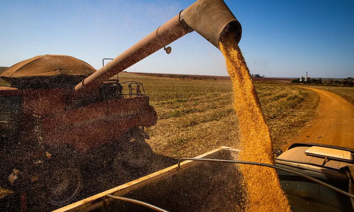 Produção agropecuária do Brasil vale R$ 1 trilhão e se consolida como destaque global 