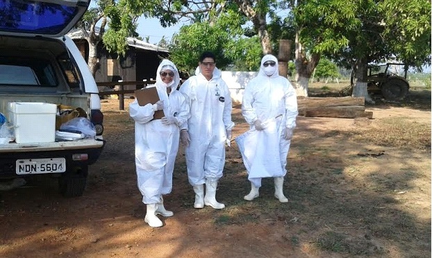 Agevisa monitora eventuais casos suspeitos de febre maculosa em Rondônia

