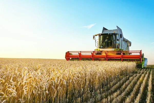 Exportações do agronegócio "salvam" economia com recorde de US$ 82,8 bilhões