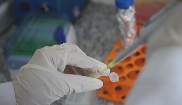 Vacina contra crack e cocaína da UFMG receberá R$ 10 milhões em investimentos
