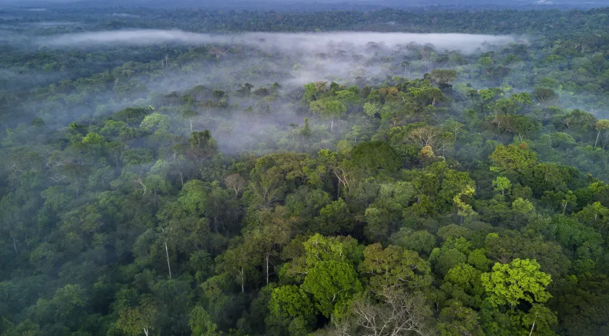 Com participação de 15 países, cúpula em Belém discute futuro da Amazônia na próxima semana
