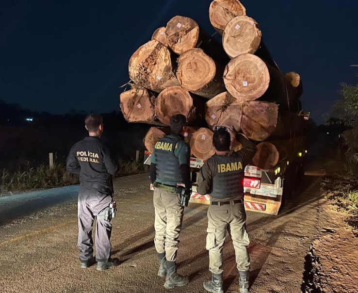Polícia Federal combate crimes ambientais em terra indígena
