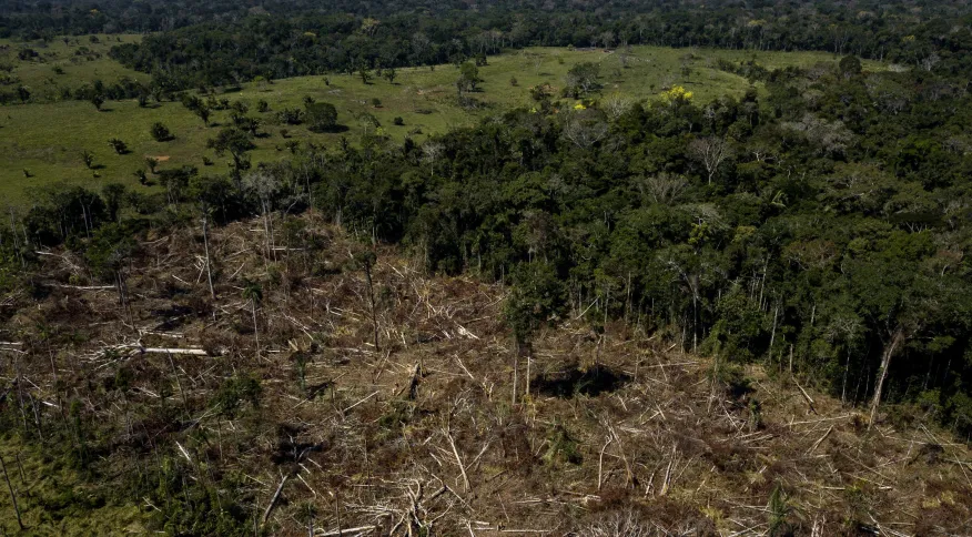 Cúpula da Amazônia deveria se repetir e será importante para COP-30, dizem especialistas
