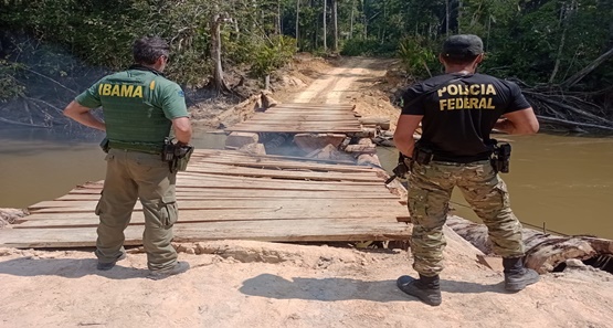 PF deflagra operação em combate a invasores de terras indígenas em Rondônia
