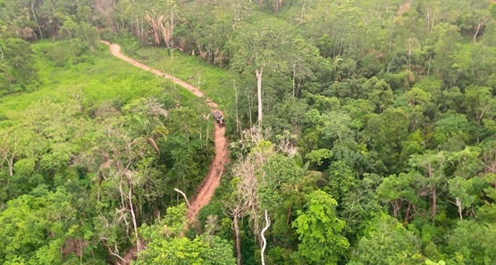 STJ mantém ordem de desocupação do Parque Estadual de Guajará-Mirim 