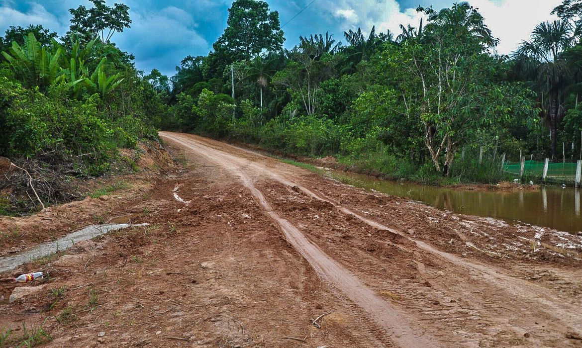 Ambientalistas denunciam desmatamento às margens de rodovia amazônica
