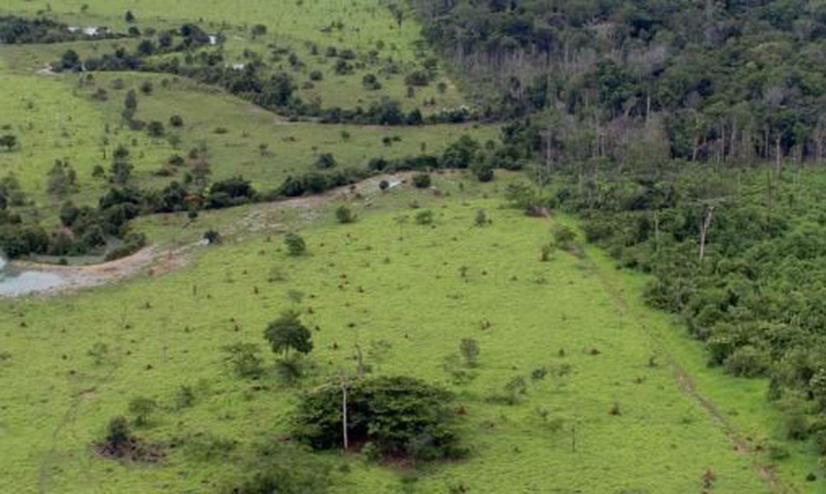 Aberto o prazo para entrega da Declaração do Imposto Territorial Rural
