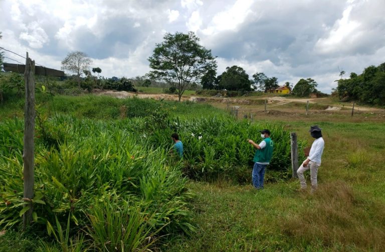 Sedam desenvolve trabalhos para controle efetivo do desmatamento em Rondônia
