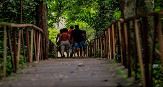 Parque Natural é  fechado para reforma e  descontaminação da água