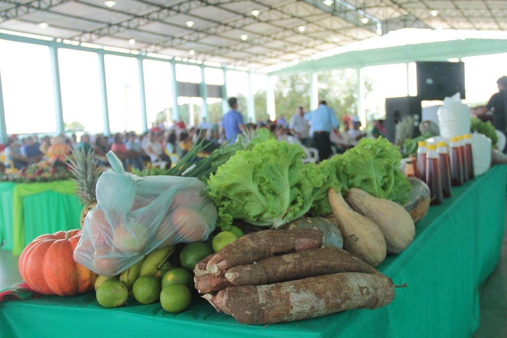 Profissionais da área da agronomia garantem qualidade e produção agrícola em Rondônia

