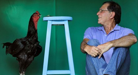 Galo brasileiro gigante chega a ter 1,20 metro de altura e vale R$ 20 mil
